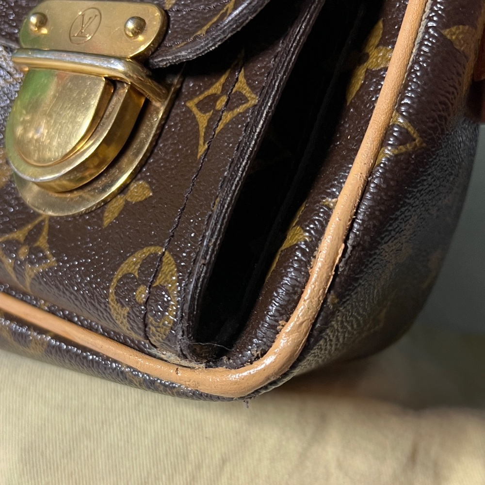 Louis Vuitton Monogram Satchel (Hudson Pm)(authenticated) - Picture 16 of 17